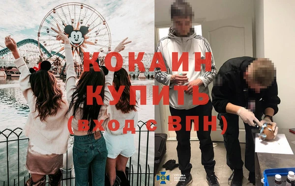 бошки Бородино