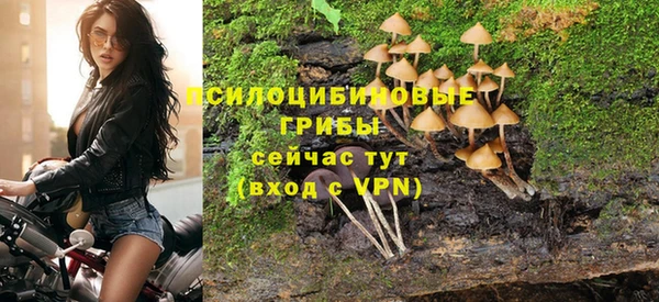гидра Нея