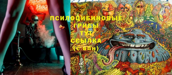 шишки Нефтегорск