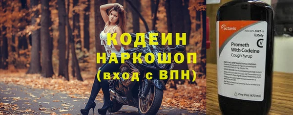 бошки Бородино