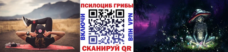 Псилоцибиновые грибы Cubensis  Северобайкальск 